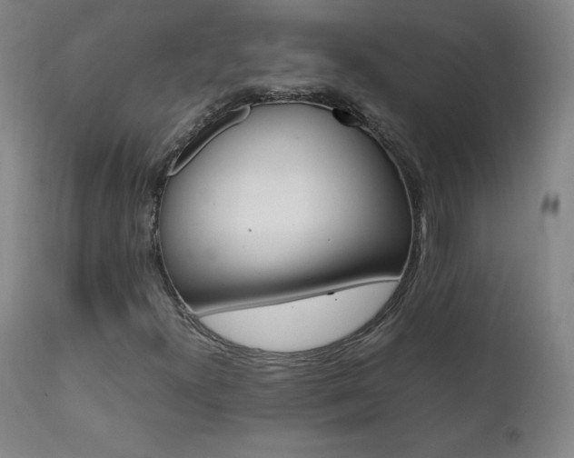 X0000111391300200907100951