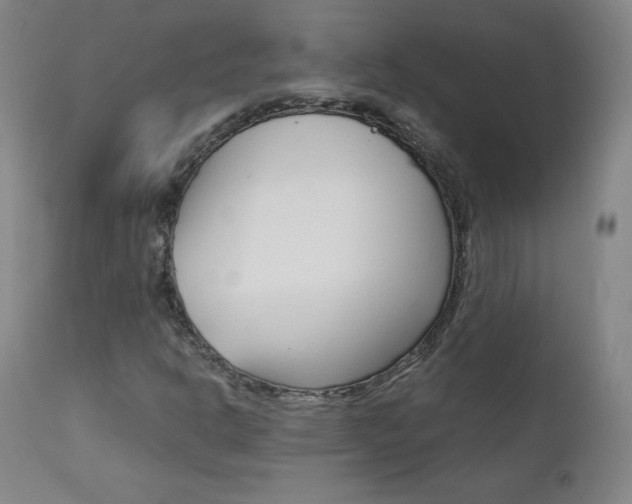 X0000111391302200907100951