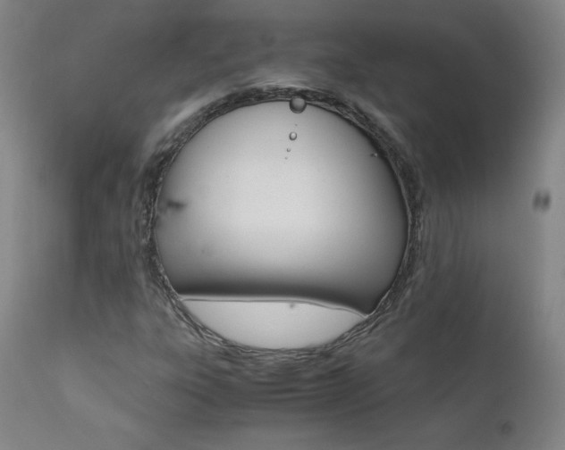 X0000111391303200907100951