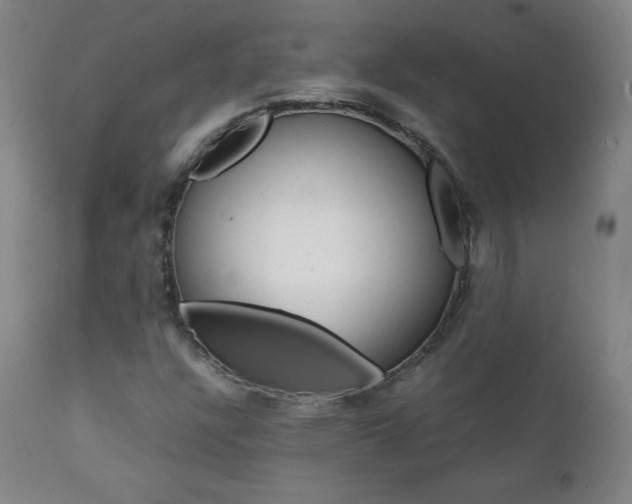 X0000111391304200907100951