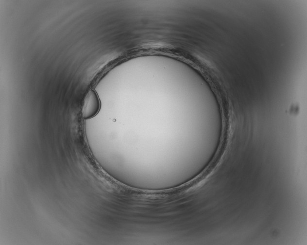 X0000111391305200907100951