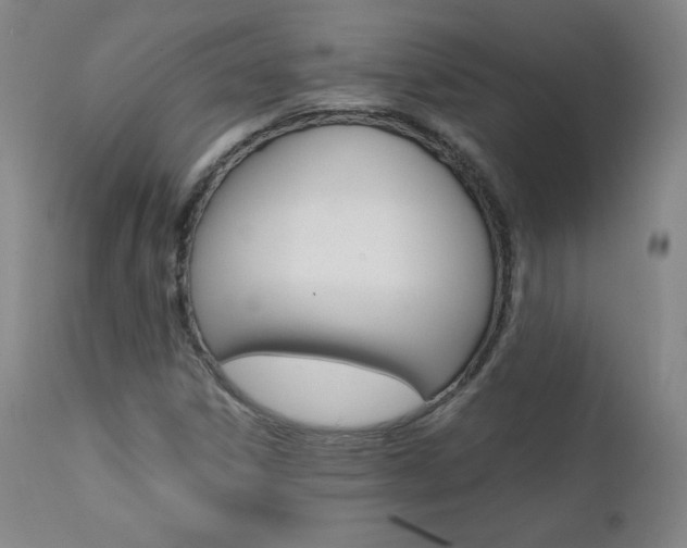 X0000111391306200907100951