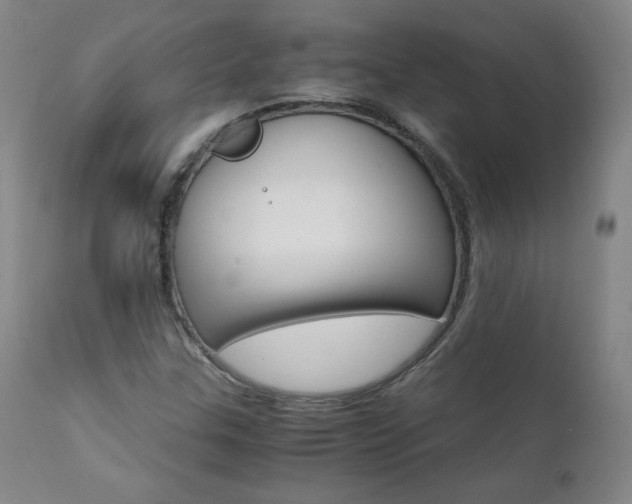 X0000111391307200907100951