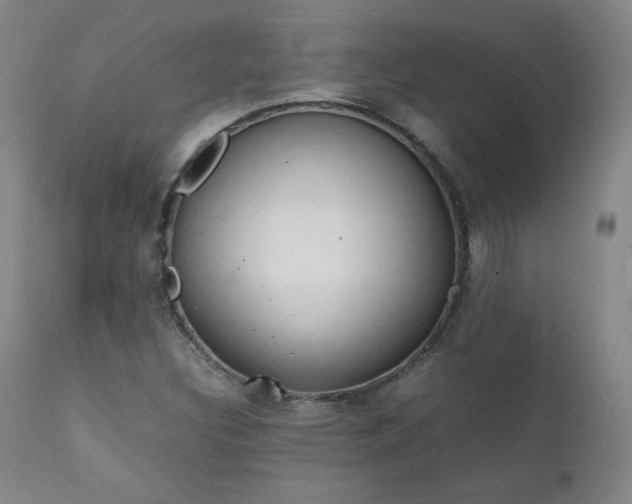 X0000111391308200907100951