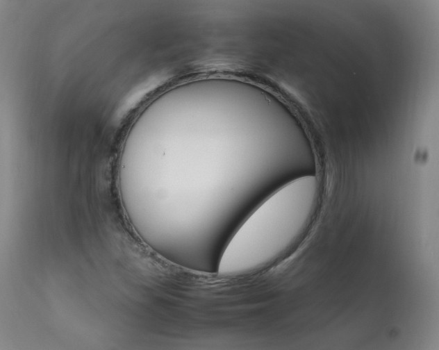 X0000111391309200907100951
