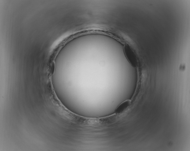 X0000111391310200907100951