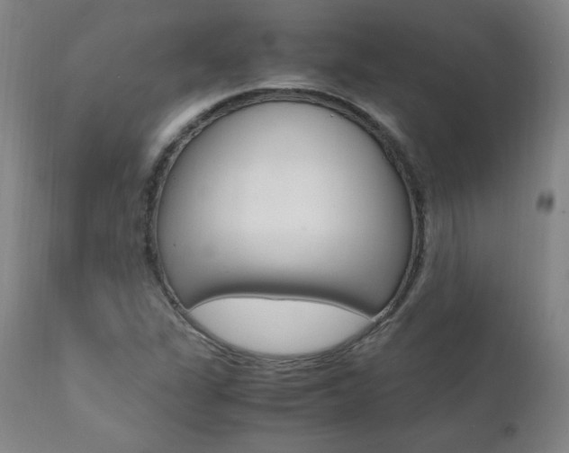 X0000111391311200907100951