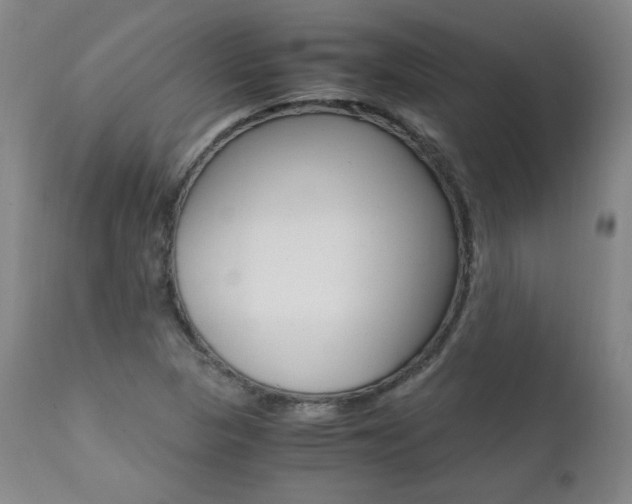 X0000111391313200907100951