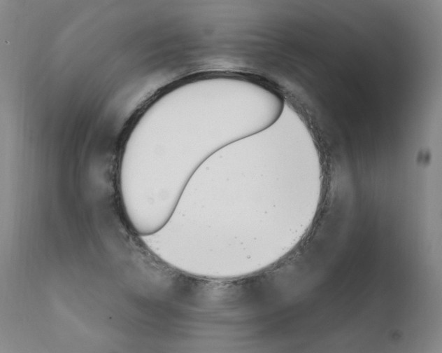 X0000111391314200907100951