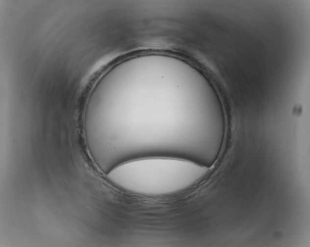 X0000111391315200907100951