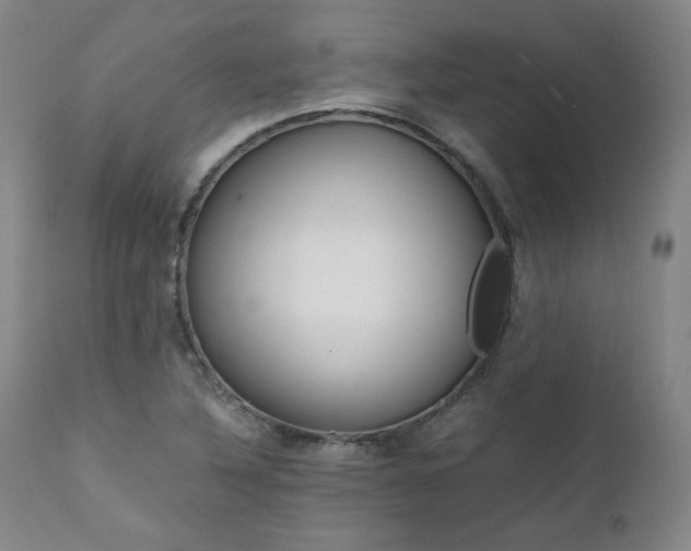 X0000111391316200907100951