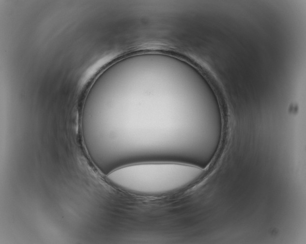X0000111391317200907100951