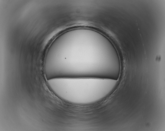 X0000111391318200907100951