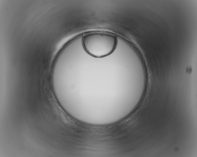 X0000111391320200907100951