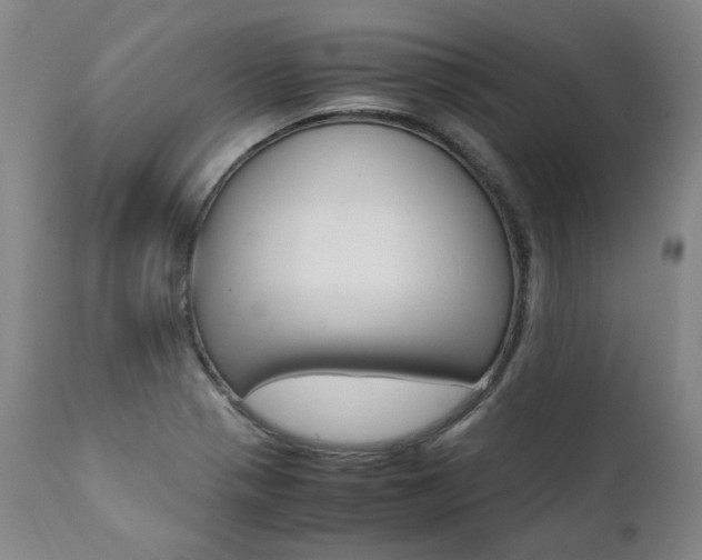 X0000111391321200907100951