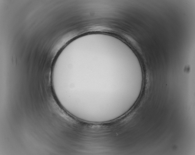 X0000111391322200907100951