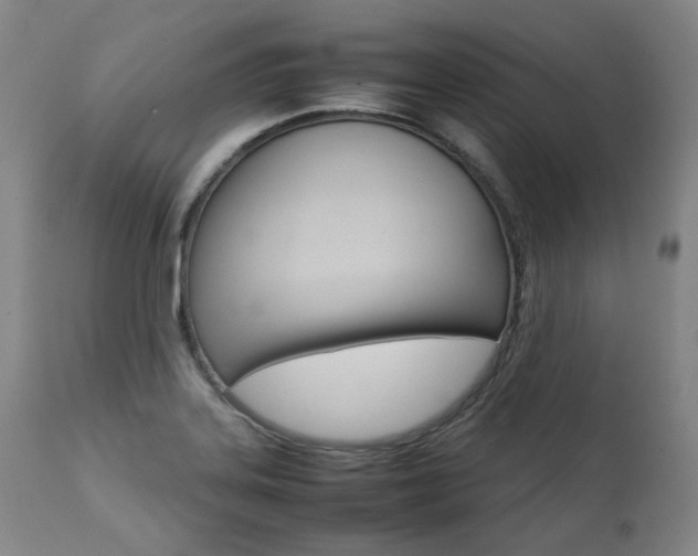 X0000111391323200907100951