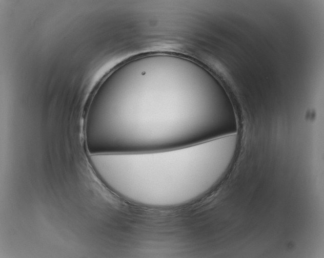 X0000111391324200907100951