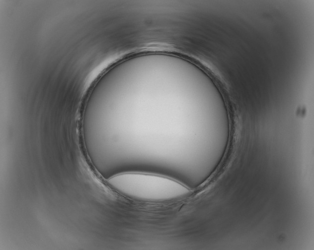 X0000111391325200907100951
