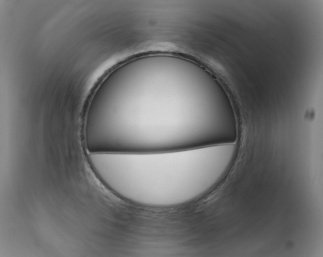 X0000111391326200907100951
