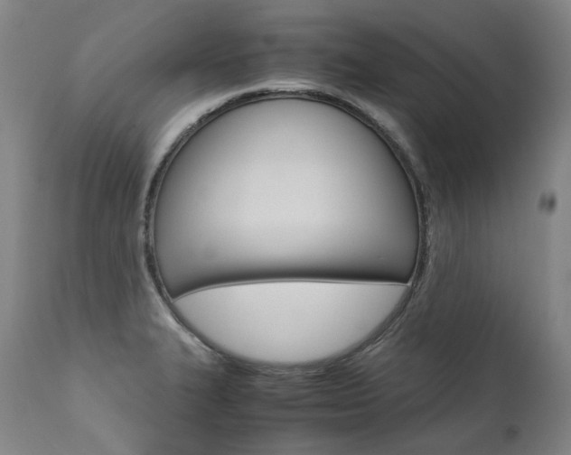 X0000111391327200907100951