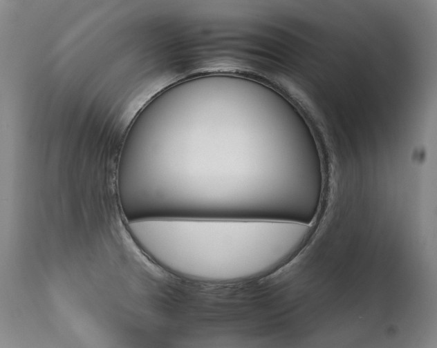 X0000111391329200907100951