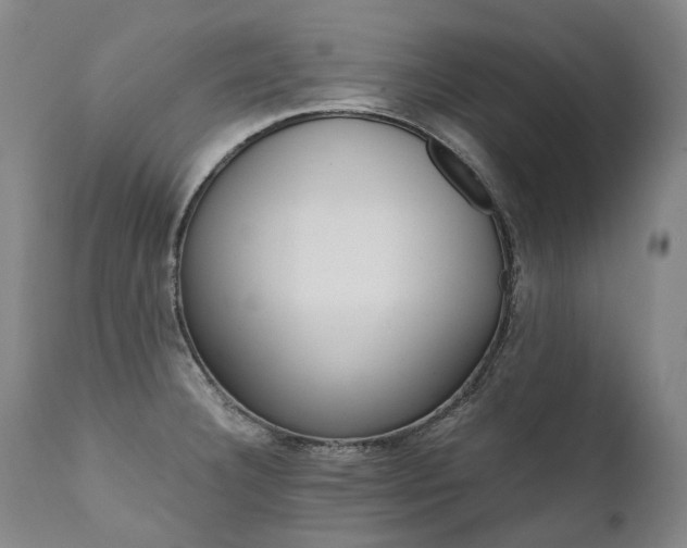 X0000111391332200907100951