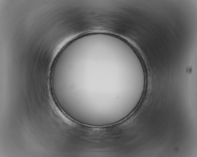 X0000111391333200907100952