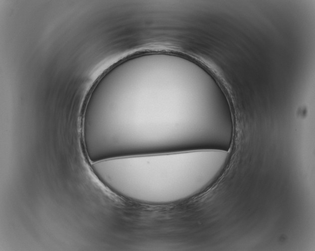 X0000111391335200907100952