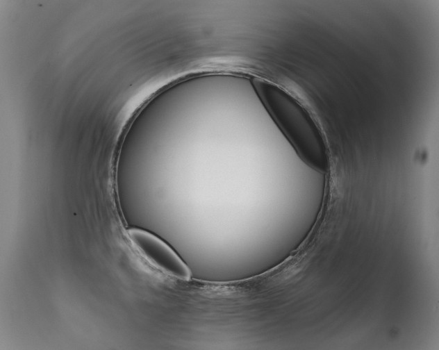 X0000111391336200907100952