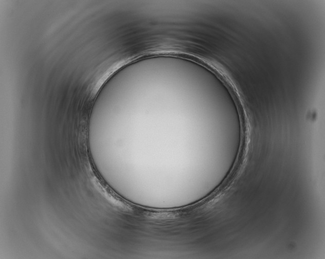 X0000111391337200907100952