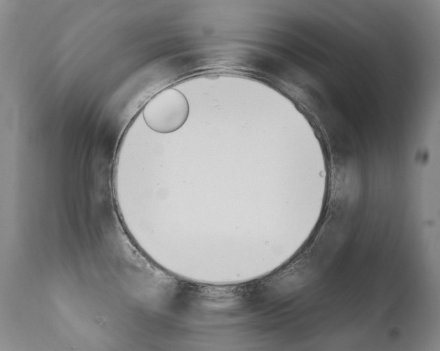 X0000111391338200907100952