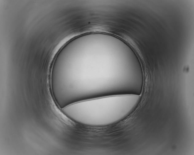 X0000111391339200907100952