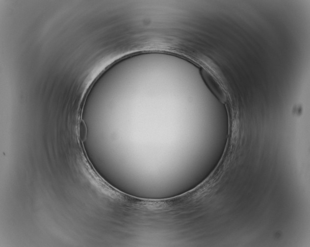 X0000111391340200907100952