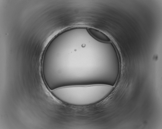 X0000111391341200907100952