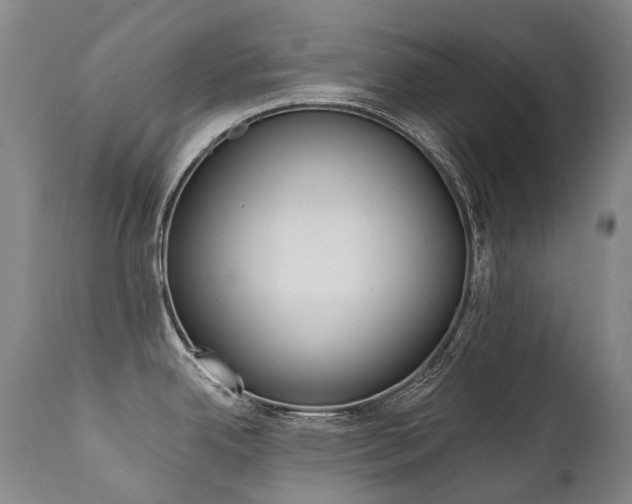 X0000111391342200907100952