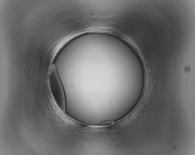X0000111391344200907100952