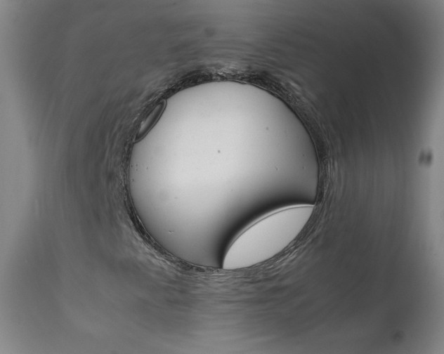 X0000111391345200907100951