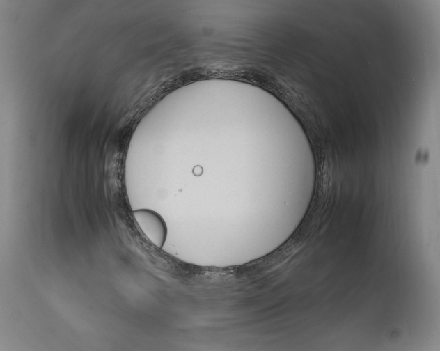 X0000111391346200907100951