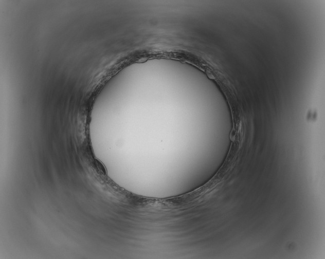 X0000111391348200907100951