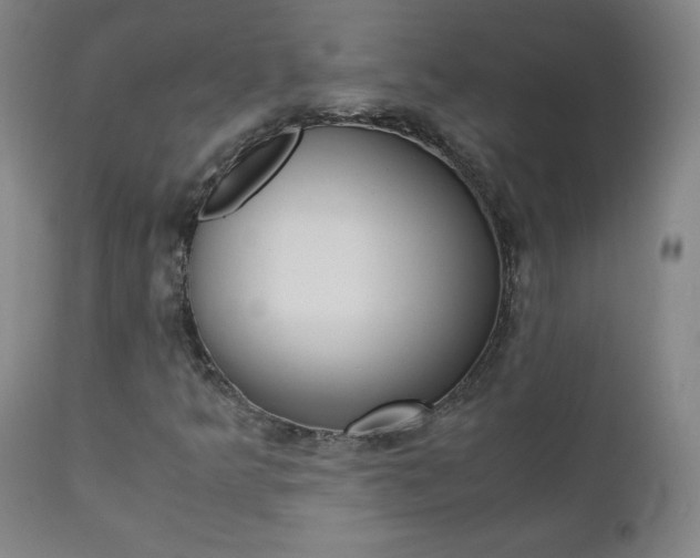 X0000111391349200907100951