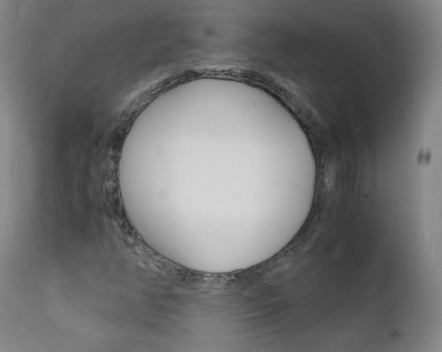 X0000111391350200907100951