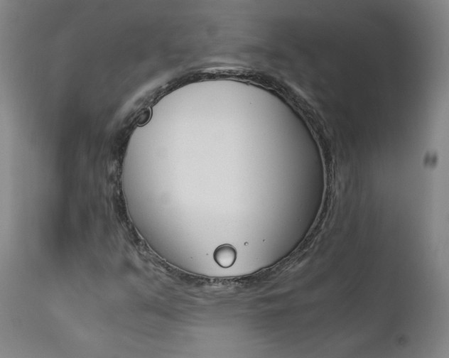 X0000111391351200907100951