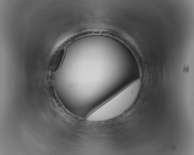 X0000111391352200907100951
