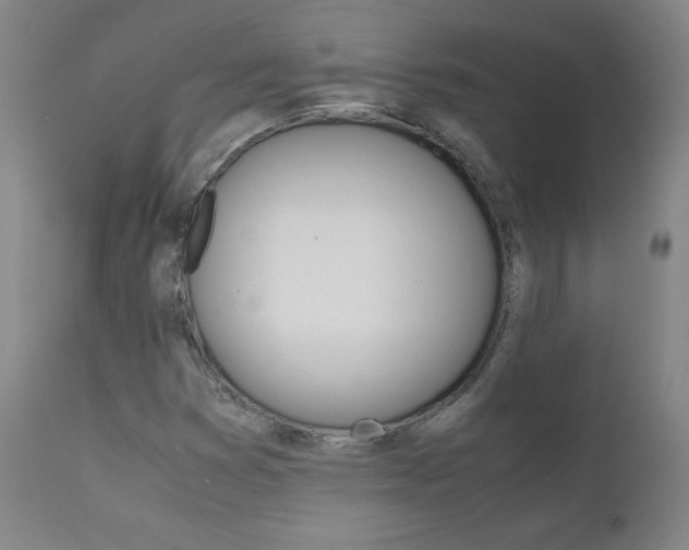 X0000111391353200907100951