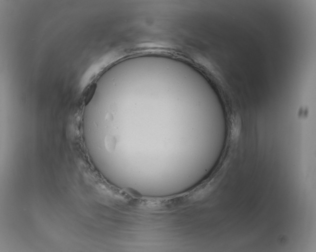 X0000111391357200907100951