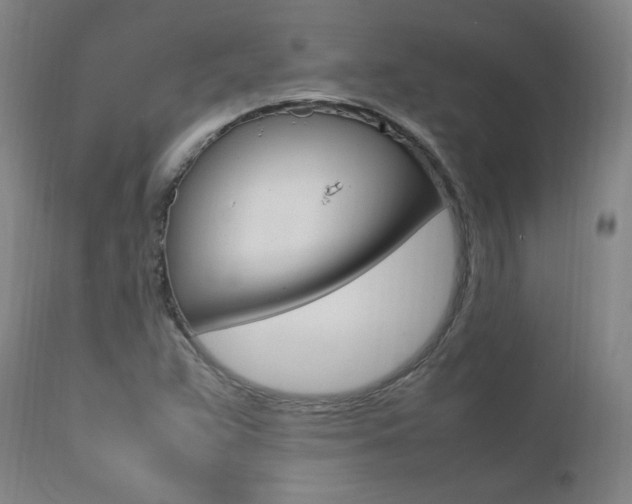 X0000111391359200907100951