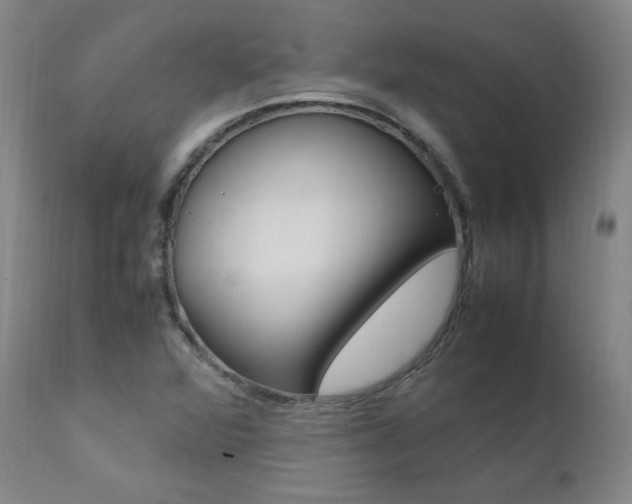 X0000111391360200907100951