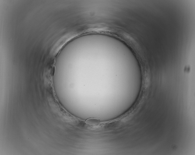 X0000111391361200907100951