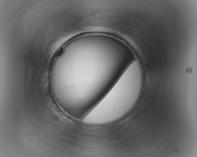 X0000111391364200907100951